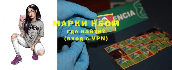 шишки Горняк