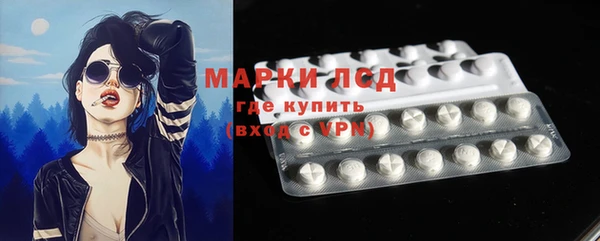 шишки Горняк