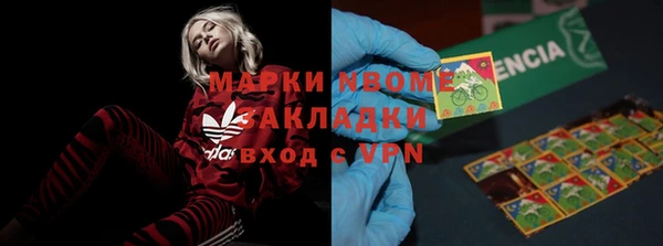 шишки Горняк
