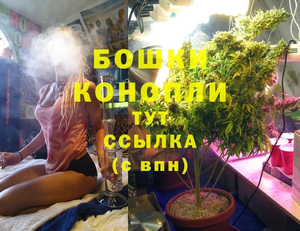 шишки Горняк