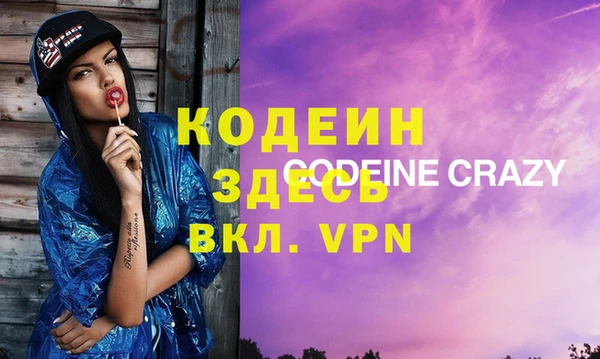 шишки Горняк