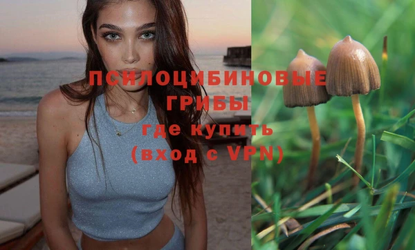 spice Горнозаводск