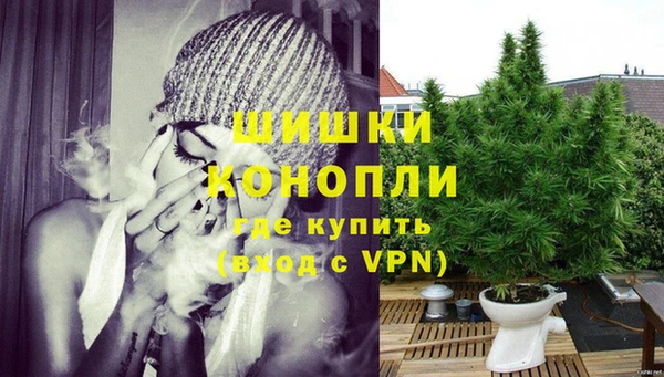 шишки Горняк