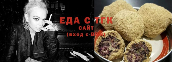 шишки Горняк