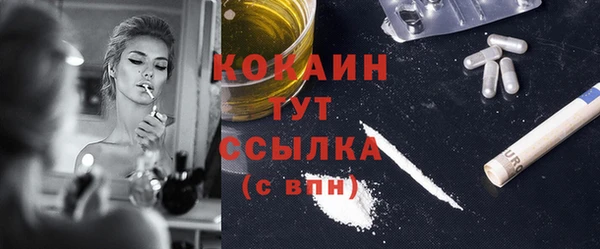 шишки Горняк