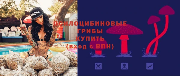 шишки Горняк